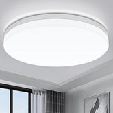 24w Dome Flush Ceiling Ligh